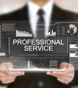 Professional service Diagram illustrating professional services