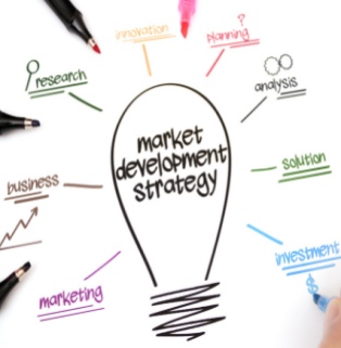A modern business hand-drawn mind map marketing illustration taken against a clean, pure white background, designed to showcase a company's global market expansion and marketing strategy (Active Market Development). At the center of the image is a large, simple black line drawing of a light bulb, inside which the core business concept, 'market development strategy,' is neatly written in black handwritten artistic font. Centered around this giant, creative light bulb, eight English business keywords, written in different colored markers and accompanied by underlines or miniature line drawings, radiate outwards: from top to bottom on the left, there is 'research' in green (with a magnifying glass icon), 'business' in brown (with a reddish-brown upward-sloping line arrow), and 'marketing' in purple; above that, there is 'innovation' in orange and 'planning' in red with a question mark; from top to bottom on the right, there is 'analysis' in dark green (with two overlapping circular gear icons), 'solution' in light green, and 'investment' in bright blue in the lower right corner (with a thin dollar sign $ below). Around the perimeter of the whiteboard, four colored marker nibs are arranged diagonally, some in progress and others about to be used for writing (including a black one in the upper left corner, one on the left, one at the bottom, and a pink marker with a section of its top edge sticking out). In the lower right corner, a hand can be vaguely seen holding a blue marker and writing a dollar sign. The entire image is well-composed, brightly colored, and logically structured, seamlessly integrating the creative light bulb symbol with a comprehensive modern B2B foreign trade business expansion strategy, fully showcasing the company's professional aesthetic quality in the field of international digital marketing and strategic planning.