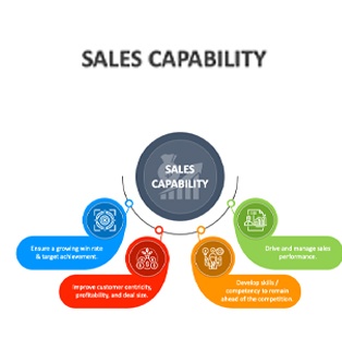 Sales Capability